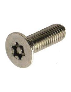 4x RVS Resistorx M4x10 security screw