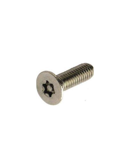 4x RVS Resistorx M4x10 security screw